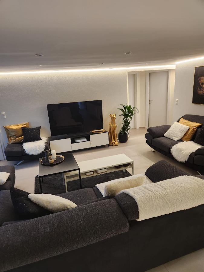 Appartement Moderne Avec Terrasse Et Piscine A Chatel Sur بيش المظهر الخارجي الصورة
