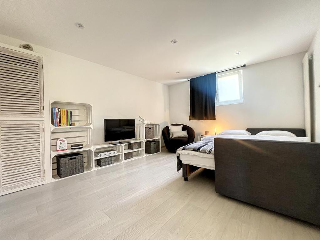 Appartement Moderne Avec Terrasse Et Piscine A Chatel Sur بيش المظهر الخارجي الصورة